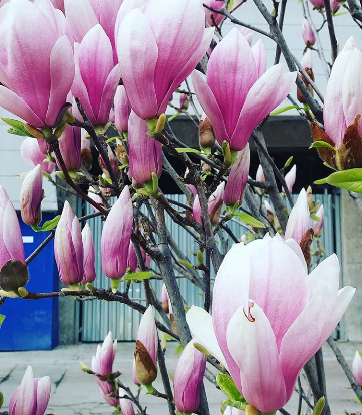 Screenshot_2019-03-10-16-31-34-1